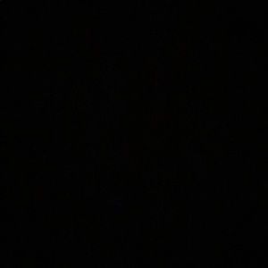 Meet your Posher, Isabella